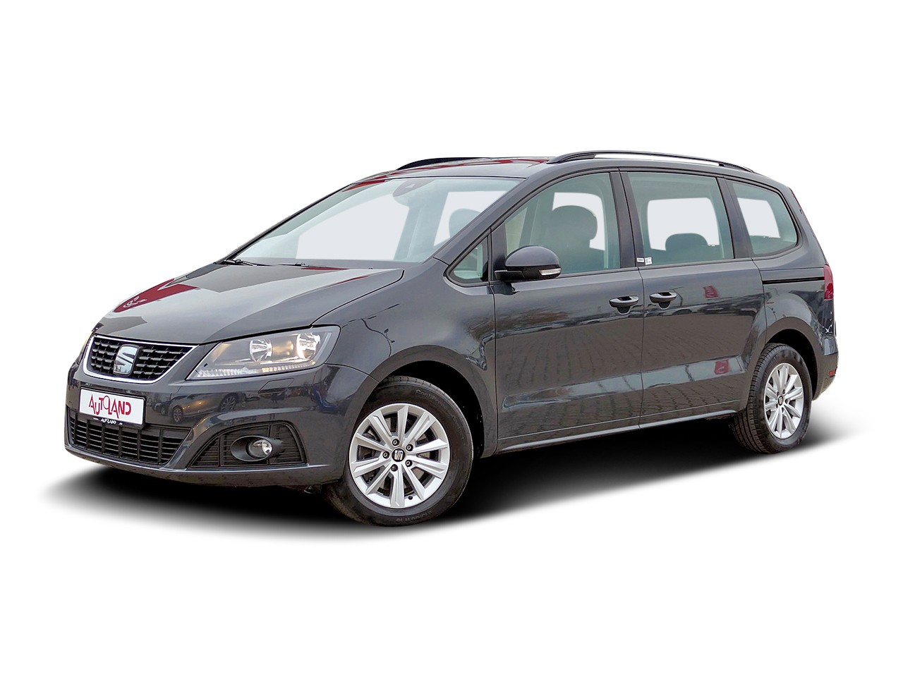Seat Alhambra Mpv 2010 lyžiny